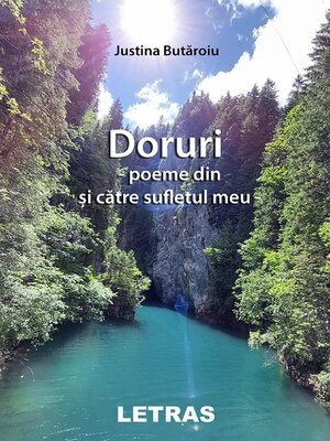 cover image of Doruri